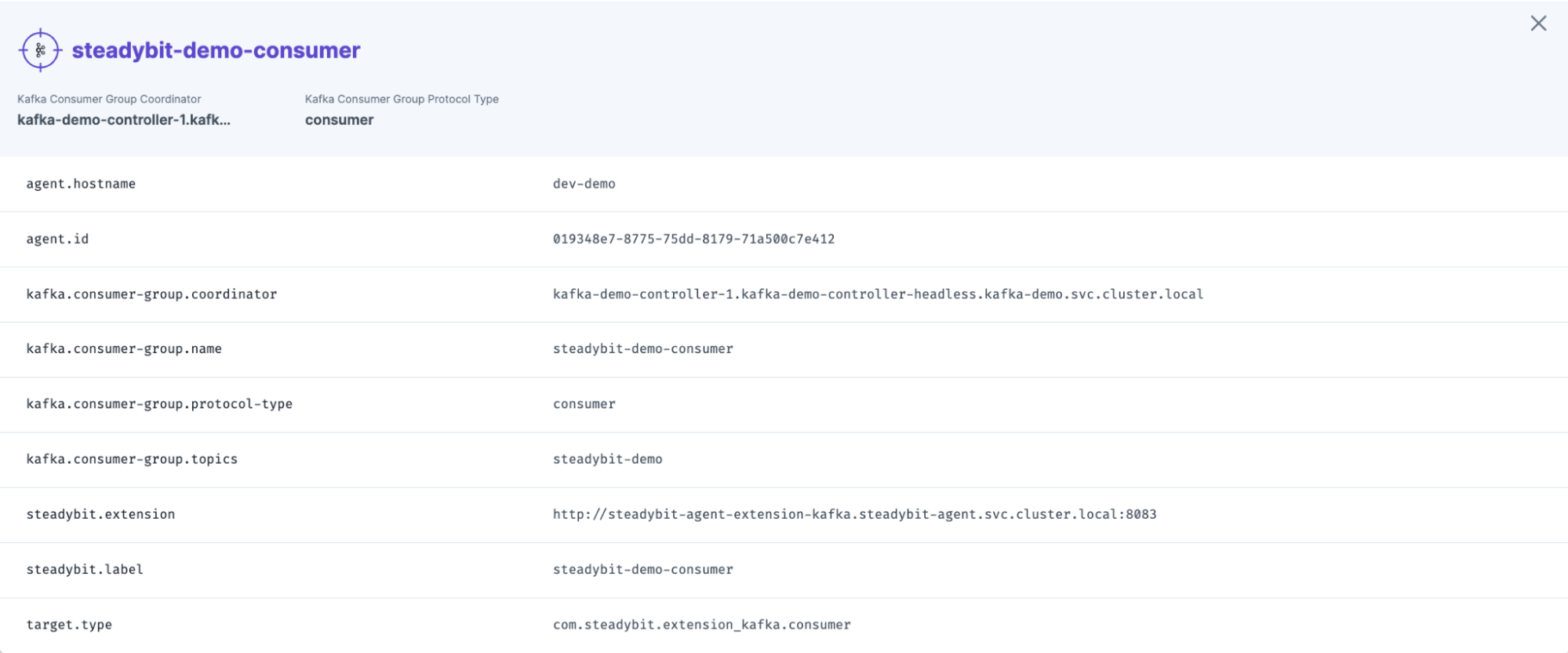 Detailed view of a Kafka consumer group in Steadybit, including group coordinator, protocol type, topics, and associated host details for a demo environment.