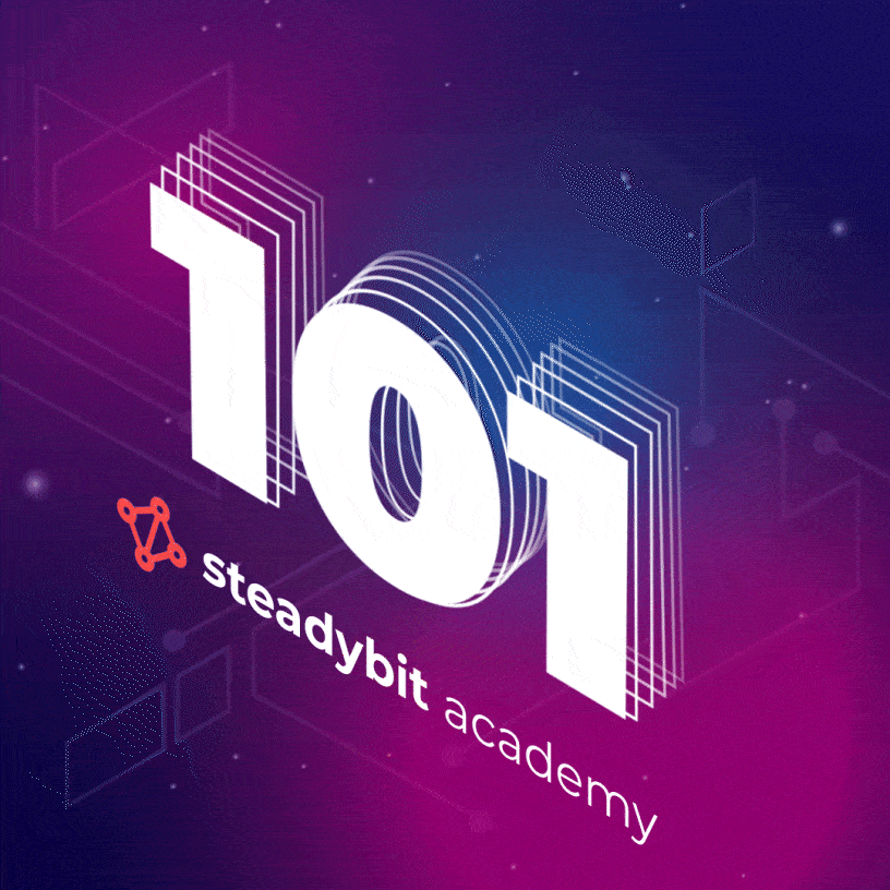 Steadybit 101