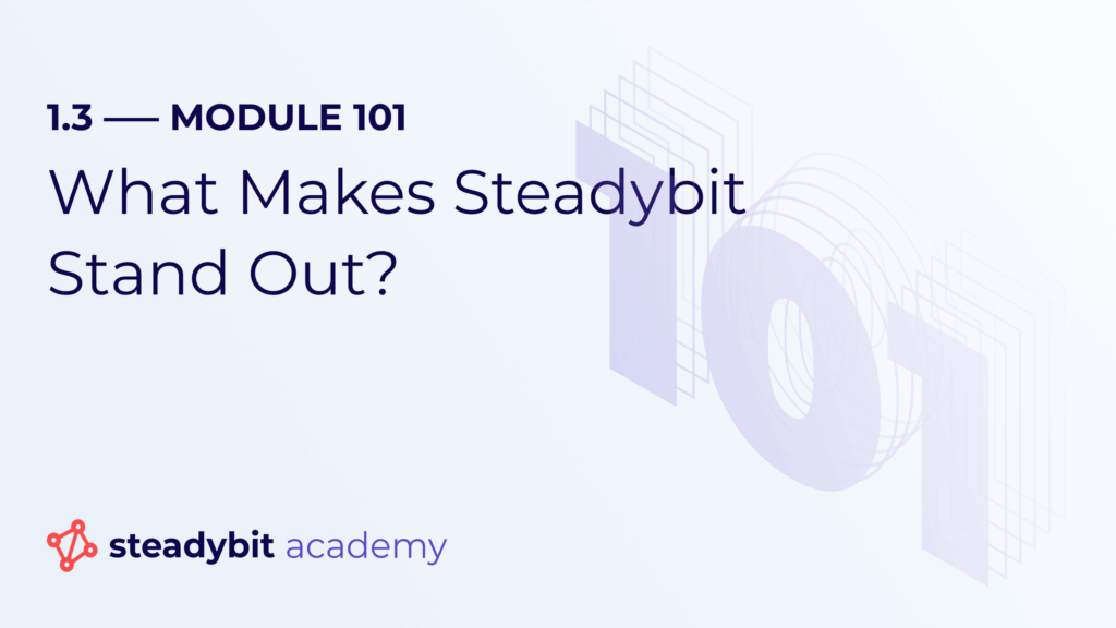 What Makes Steadybit Stand Out?