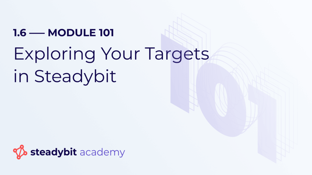 Exploring Your Targets in Steadybit